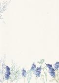 [16431699800] Designblatt A4 210x297 mm 'Provence' 100 g/qm
